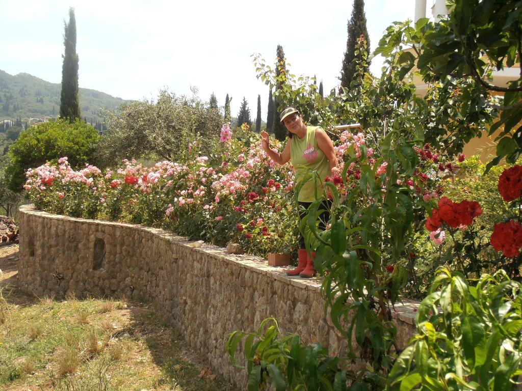 Linda House Corfu Apartment Gastouri  Room photo